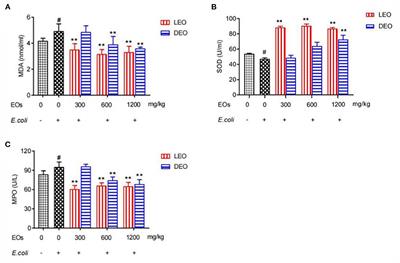 Protective Effect of Lemon Essential Oil and Its Major Active Component, D-Limonene, on Intestinal Injury and Inflammation of E. coli-Challenged Mice